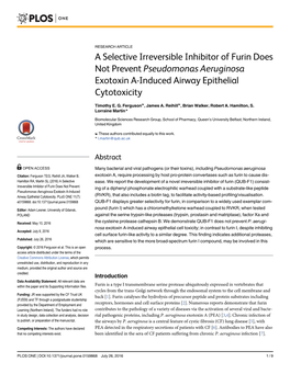 A Selective Irreversible Inhibitor of Furin Does Not Prevent Pseudomonas Aeruginosa Exotoxin A-Induced Airway Epithelial Cytotoxicity