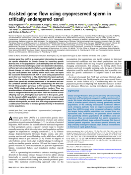 Assisted Gene Flow Using Cryopreserved Sperm in Critically Endangered Coral