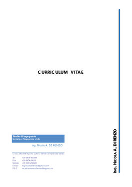 Curriculum Vitae Curriculum