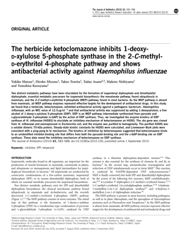 The Herbicide Ketoclomazone Inhibits 1-Deoxy-D-Xylulose 5-Phosphate