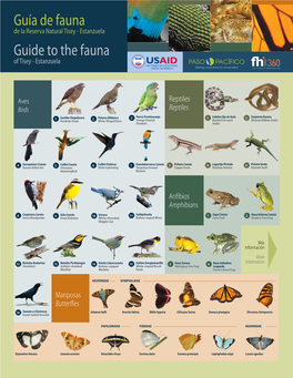 Guía De Fauna Guide to the Fauna