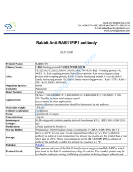 Rabbit Anti-RAB11FIP1 Antibody-SL21126R