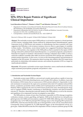 XPA: DNA Repair Protein of Significant Clinical Importance