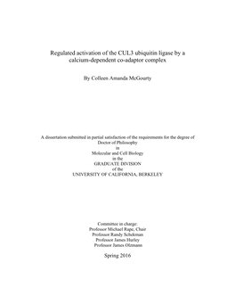 Regulated Activation of the CUL3 Ubiquitin Ligase by a Calcium-Dependent Co-Adaptor Complex