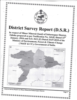 District Survey R*Port (D.S.R.)