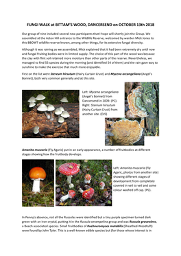 FUNGI WALK at BITTAM's WOOD, DANCERSEND on OCTOBER 13Th