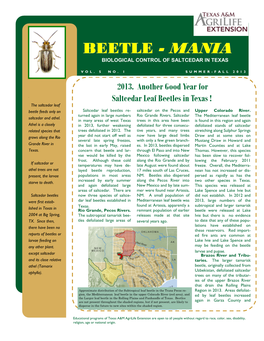 Beetle - Mania Biological Control of Saltcedar in Texas