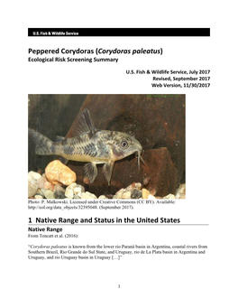 (Corydoras Paleatus) 1 Native Range and Status in the United States