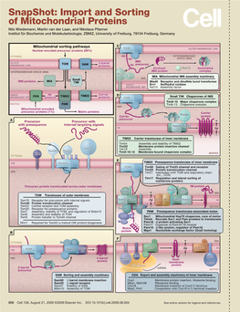 Snapshot: Import and Sorting of Mitochondrial Proteins