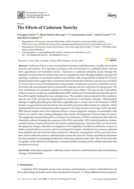 The Effects of Cadmium Toxicity