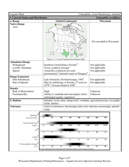 Aquatic Plant Limnophila; Asian Marshweed; Ambulia I