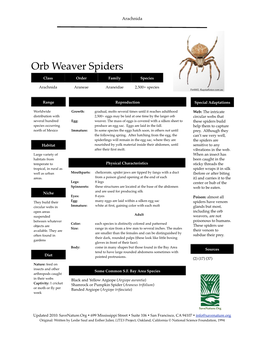 Orb Weaver Spiders Info Sheet