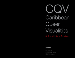 Caribbean Queer Visualities David Scott