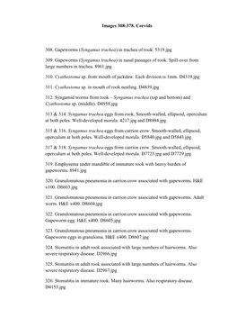 Images 308-378. Corvids 308. Gapeworms (Syngamus Trachea)