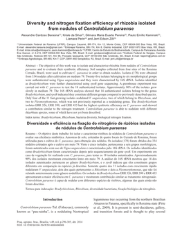 Diversity and Nitrogen Fixation Efficiency of Rhizobia Isolated from Nodules of Centrolobium Paraense