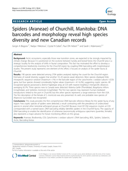 (Araneae) of Churchill, Manitoba: DNA Barcodes and Morphology Reveal