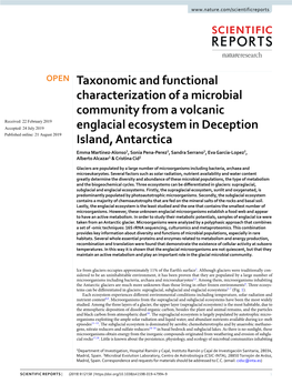 Taxonomic and Functional Characterization of a Microbial Community from a Volcanic Englacial Ecosystem in Deception Island, Anta