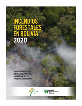 Incendios Forestales En Bolivia 2020