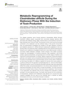 Metabolic Reprogramming of Clostridioides Difficile During The