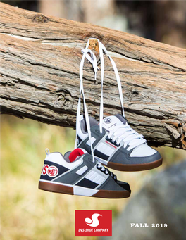 Fall 2019 Dvs Shoes, Founded in 1995, Is a Global Skate Shoe Company Dedicated to Inspiring Youth to Have Fun and Always Push Forward