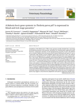 A Babesia Bovis Gene Syntenic to Theileria Parva P67 Is Expressed in Blood and Tick Stage Parasitesଝ