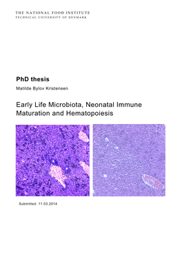 Early Life Microbiota, Neonatal Immune Maturation and Hematopoiesis