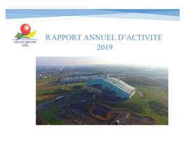 Rapport Annuel D'activite 2019