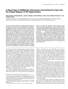 A Novel Type of Gabaergic Interneuron Connecting the Input and the Output Regions of the Hippocampus