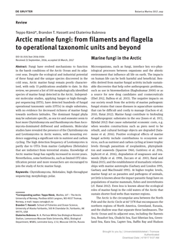 Arctic Marine Fungi: from Filaments and Flagella to Operational Taxonomic Units and Beyond