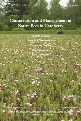 Conservation and Management of Native Bees in Cranberry