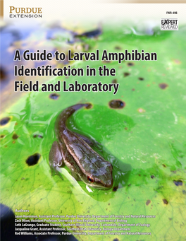 A Guide to Larval Amphibian Identification in the Field and Laboratory