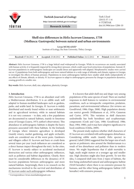 Shell Size Differences in Helix Lucorum Linnaeus, 1758 (Mollusca: Gastropoda) Between Natural and Urban Environments