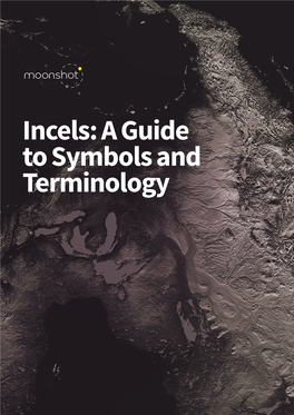 Incels: a Guide to Symbols and Terminology 2