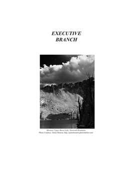 Executive Branch