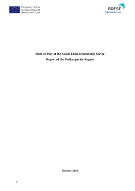 State of Play of the Social Entrepreneurship Sector Report of the Podkarpackie Region