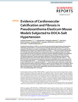 Evidence of Cardiovascular Calcification and Fibrosis In