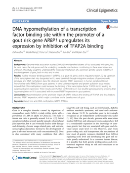 DNA Hypomethylation of a Transcription