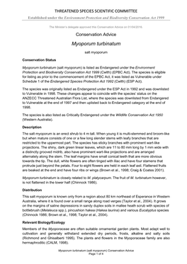 Conservation Advice Myoporum Turbinatum Salt Myoporum