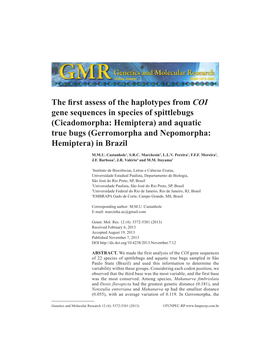 The First Assess of the Haplotypes From