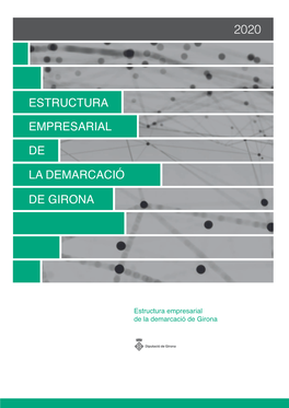 Estructura Empresarial De La Demarcació De Girona