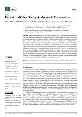 Endemic and Other Dimorphic Mycoses in the Americas