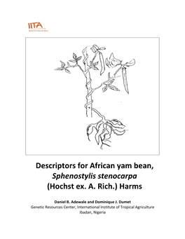 Descriptors for African Yam Bean, Sphenostylis Stenocarpa (Hochst Ex