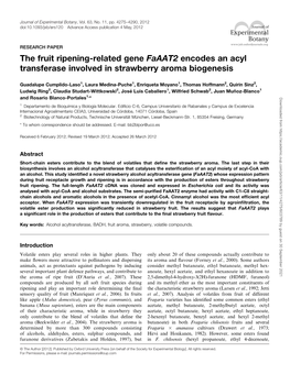 Changes in DNA the Fruit Ripening-Related Gene Faaat2