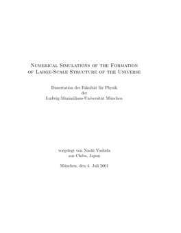 Numerical Simulations of the Formation of Large-Scale Structure of the Universe