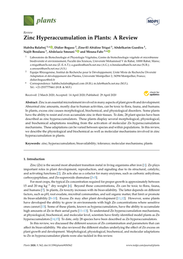 Zinc Hyperaccumulation in Plants: a Review