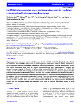 Lncrnas Induce Oxidative Stress and Spermatogenesis by Regulating Endoplasmic Reticulum Genes and Pathways