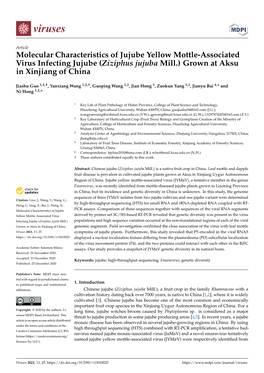 Molecular Characteristics of Jujube Yellow Mottle-Associated Virus Infecting Jujube (Ziziphus Jujuba Mill.) Grown at Aksu in Xinjiang of China