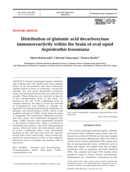 Distribution of Glutamic Acid Decarboxylase Immunoreactivity Within the Brain of Oval Squid Sepioteuthis Lessoniana