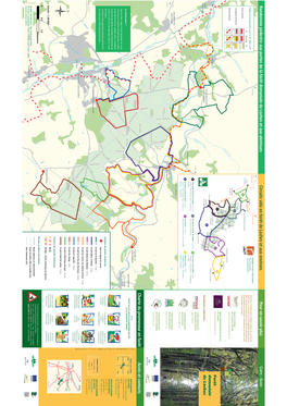 Randonnée Pédestre Aux Portes De La Forêt Domaniale De Loches Et Aux Alentours Circuits Vélo En Forêt De Loches Et Aux Environs Pour En Savoir Plus CARTE - GUIDE