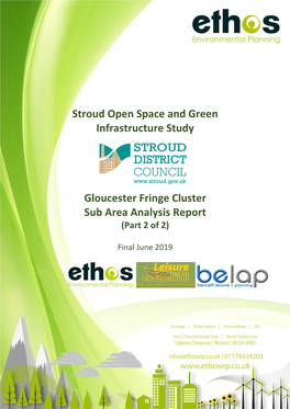 Cluster Analysis Part 2 V5 Gloucester Fringe Cluster